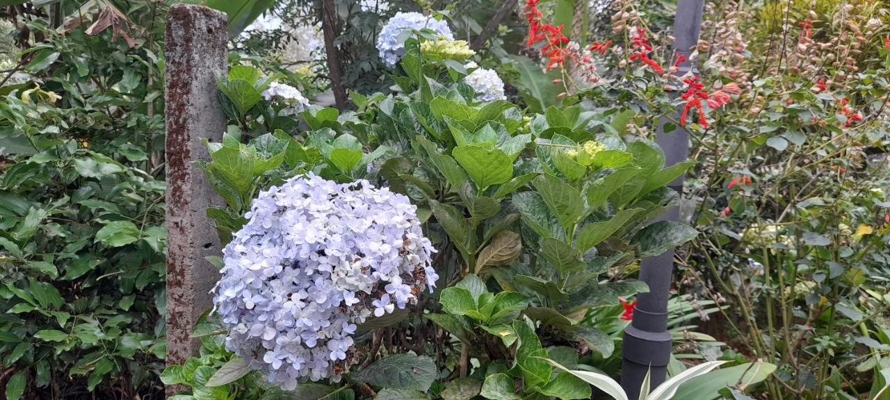 Le Farmhouse Munnar Anachal Екстер'єр фото