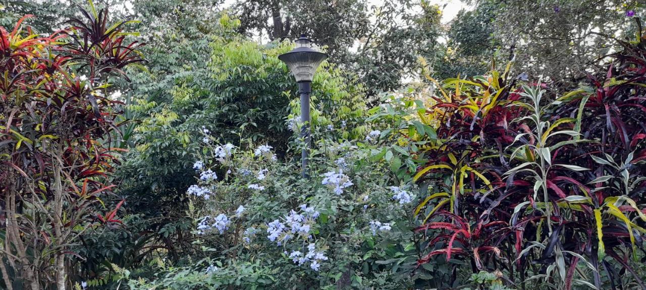Le Farmhouse Munnar Anachal Екстер'єр фото
