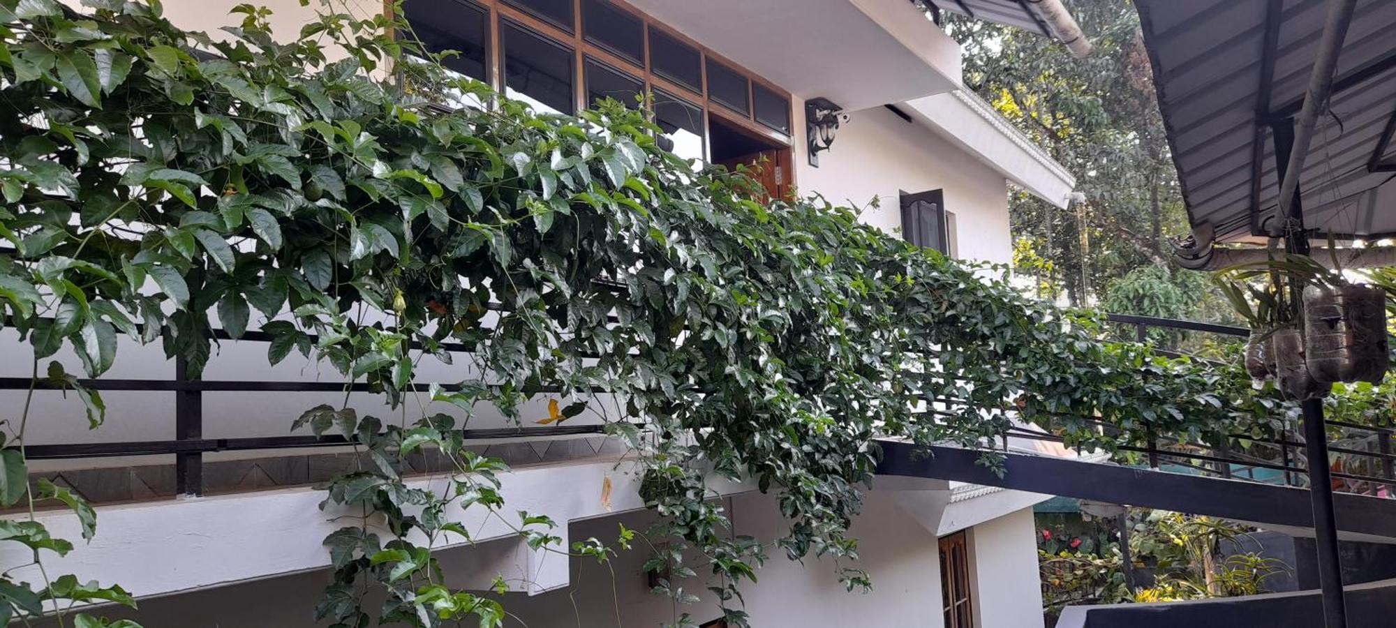 Le Farmhouse Munnar Anachal Екстер'єр фото